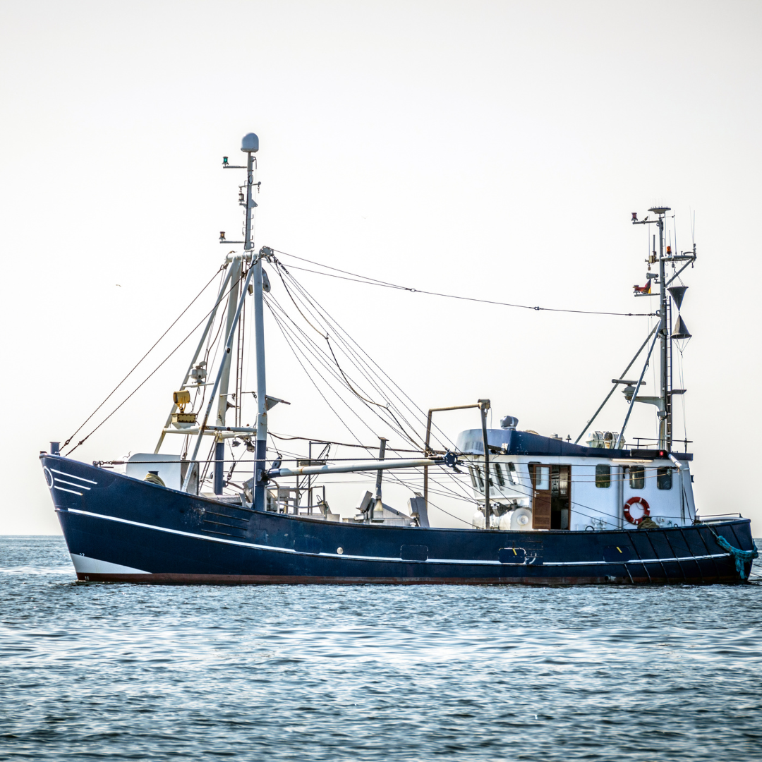 Fishing Charters and Cruises on the South Shore
