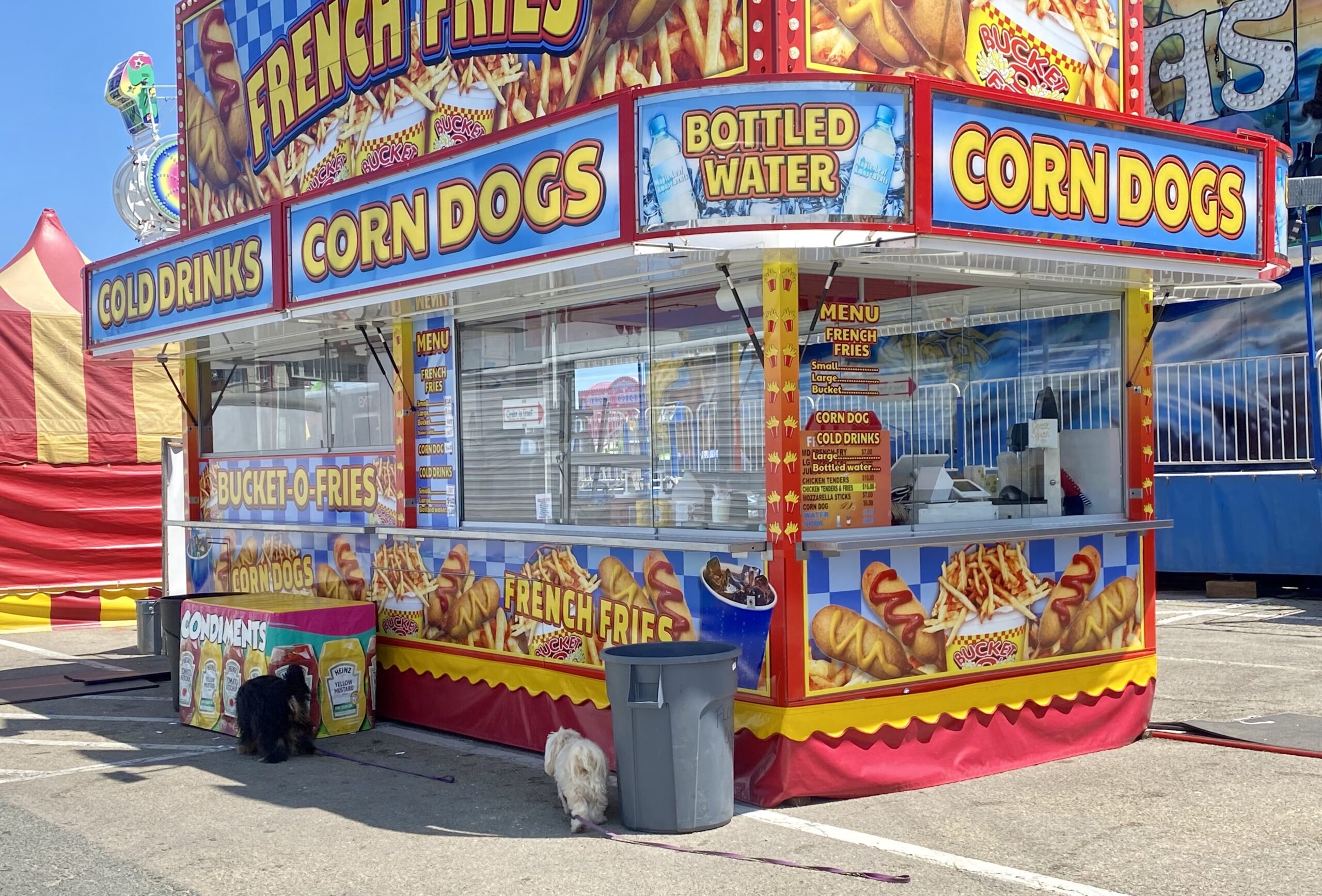 The Carnival is in Town! | Summer Fun on the South Shore