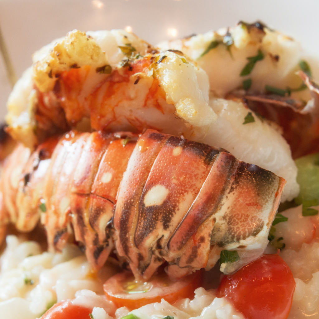 huge chunk of lobster atop risotto
