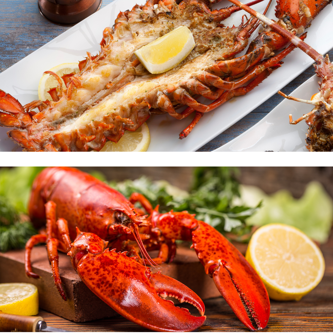 Christmas Seafood Dinner Recipes With Wine Pairing